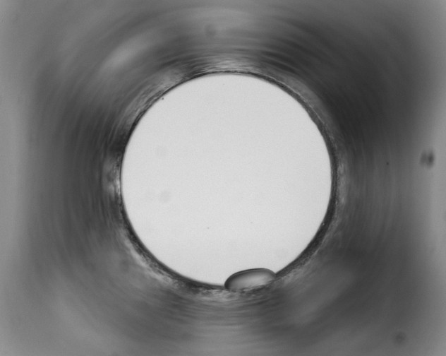 X0000114241241200911201126