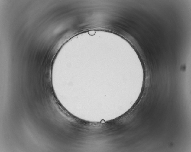 X0000114241242200911201126