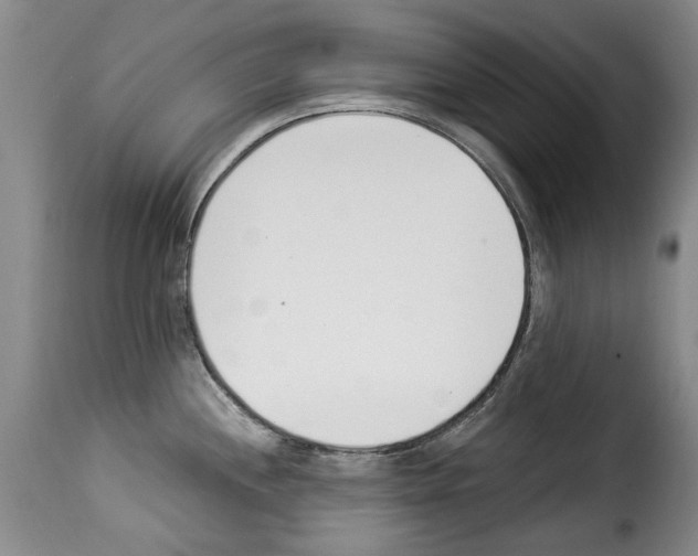 X0000114241244200911201126