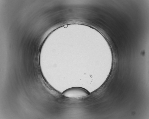 X0000114241246200911201126