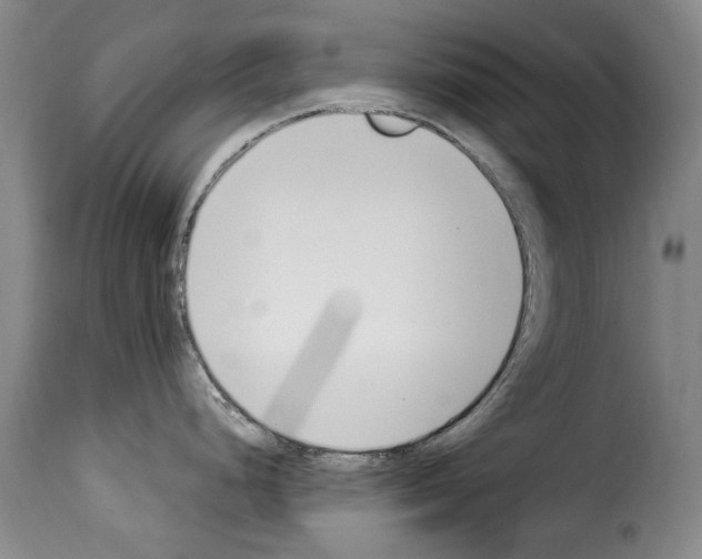 X0000114241248200911201126