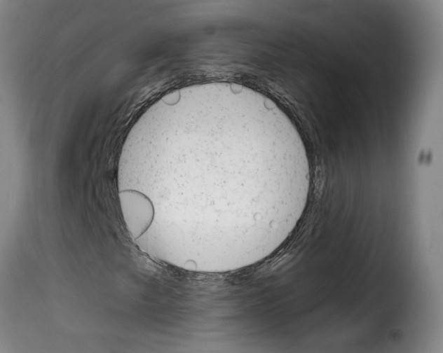 X0000114241249200911201125