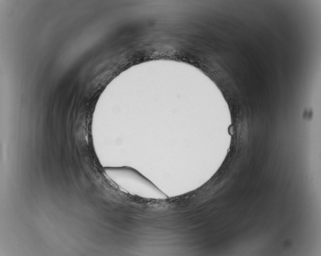 X0000114241250200911201125