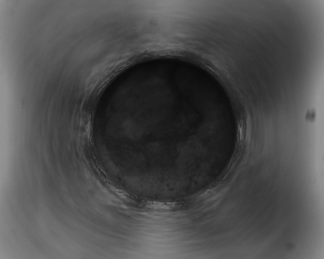 X0000114241251200911201125