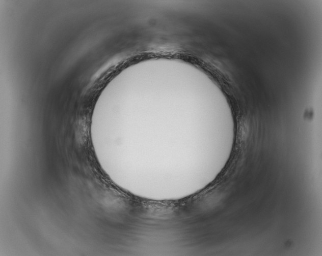 X0000114241254200911201125