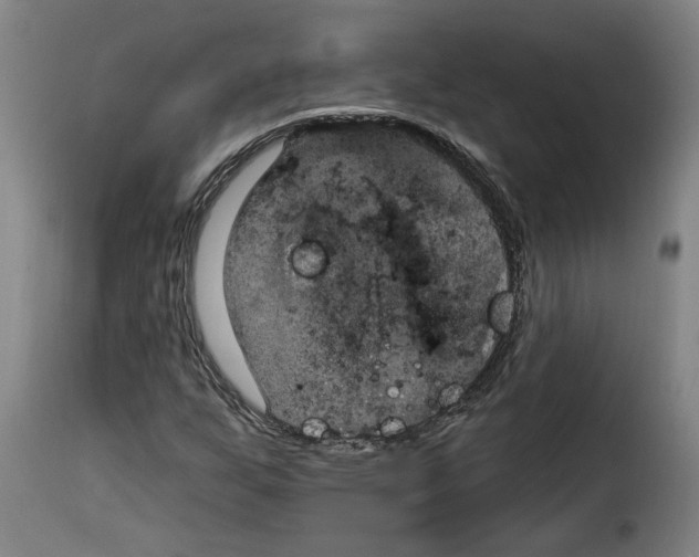 X0000114241255200911201125