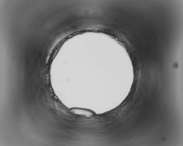 X0000114241256200911201125