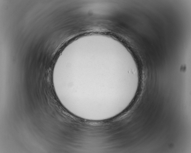 X0000114241257200911201125