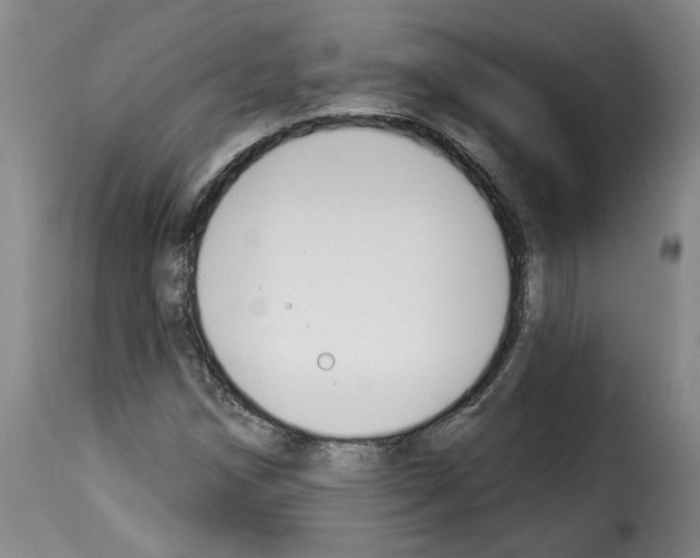 X0000114241258200911201125