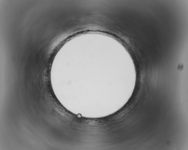 X0000114241263200911201125