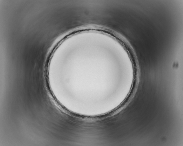 X0000114241264200911201125