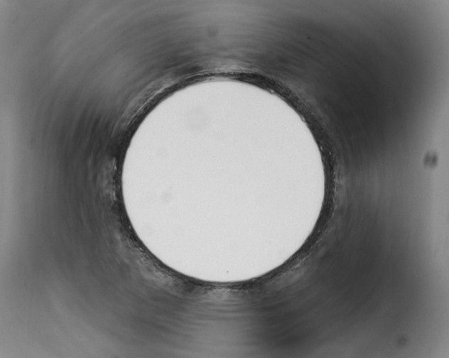 X0000114241265200911201125