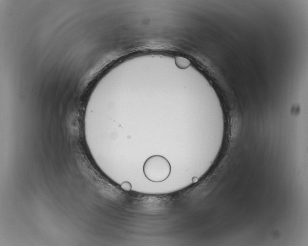 X0000114241266200911201125