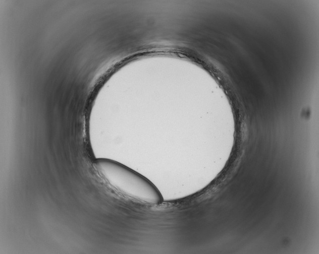 X0000114241267200911201125