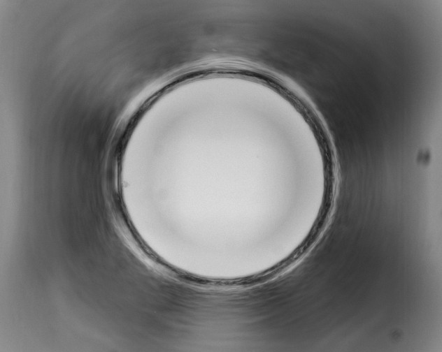 X0000114241269200911201125