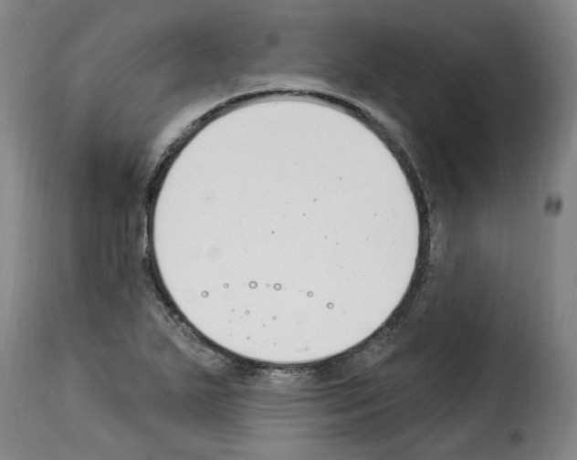 X0000114241271200911201125