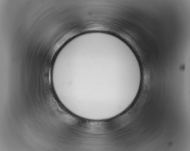 X0000114241274200911201125