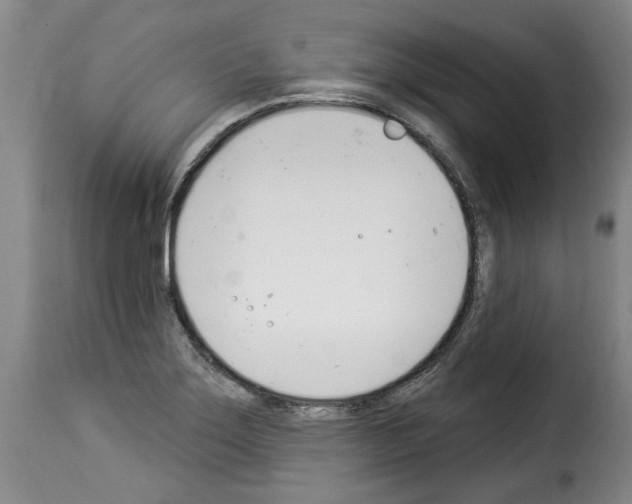 X0000114241275200911201125