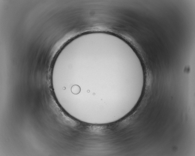 X0000114241278200911201125