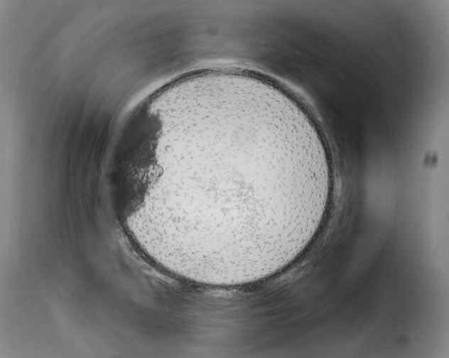 X0000114241279200911201125