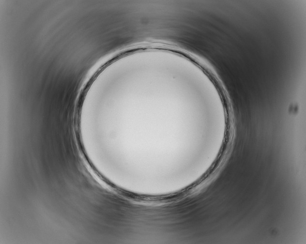 X0000114241280200911201125