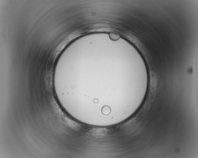 X0000114241282200911201124