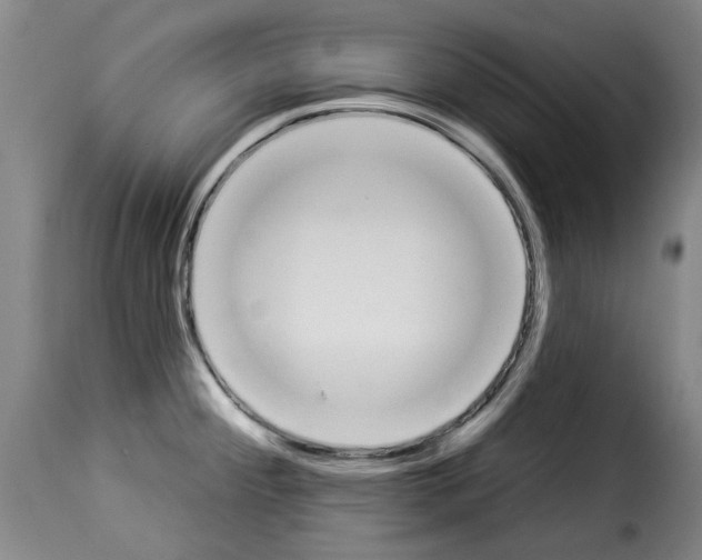 X0000114241284200911201124