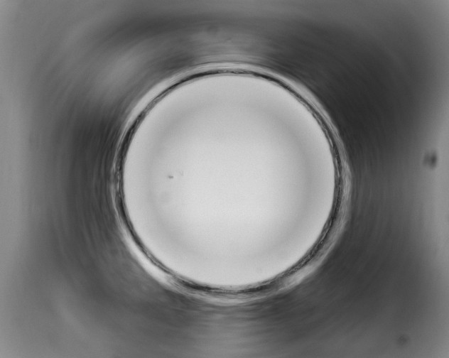 X0000114241285200911201124