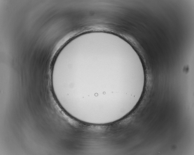 X0000114241286200911201124