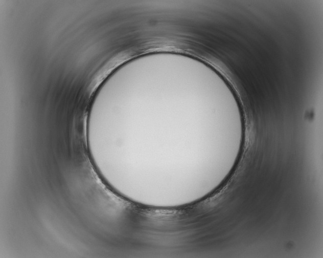 X0000114241290200911201124