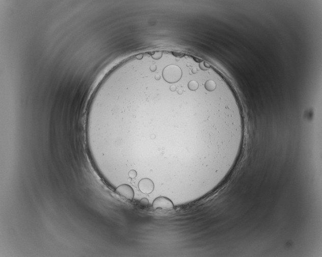 X0000114241291200911201124