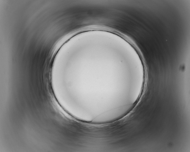 X0000114241292200911201124