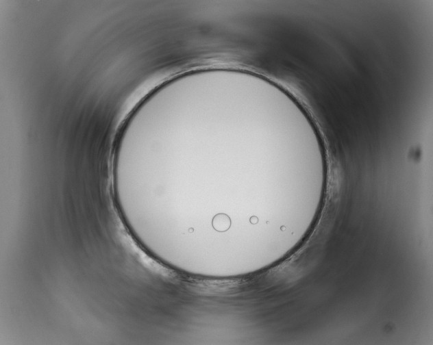 X0000114241294200911201124