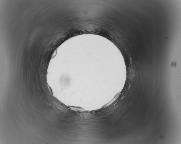 X0000114241297200911201124