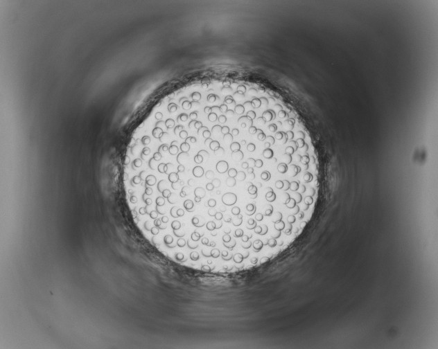 X0000114241302200911201124