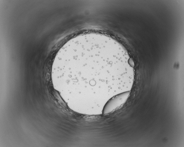 X0000114241303200911201124