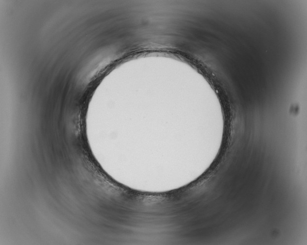 X0000114241306200911201124