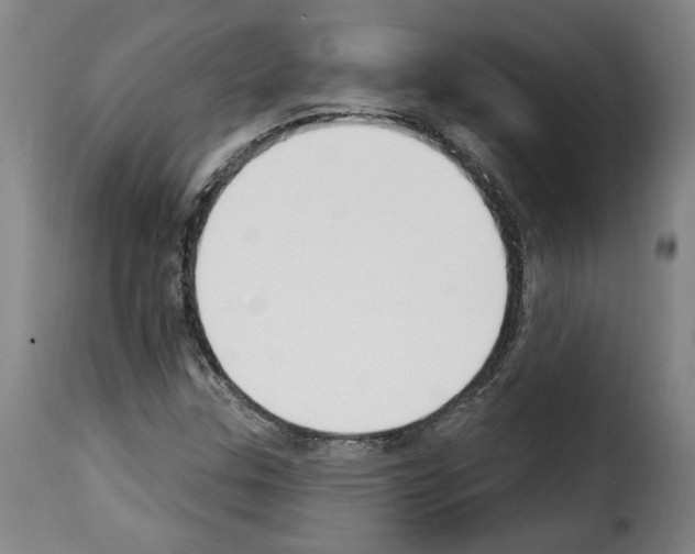 X0000114241307200911201124