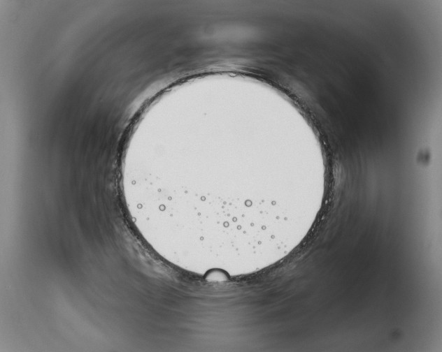 X0000114241308200911201124