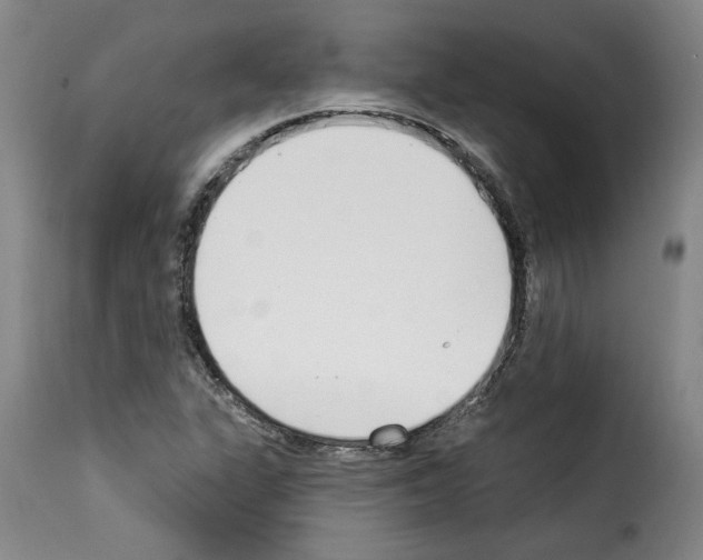 X0000114241311200911201124