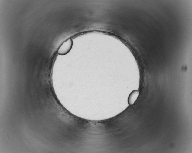 X0000114241312200911201124