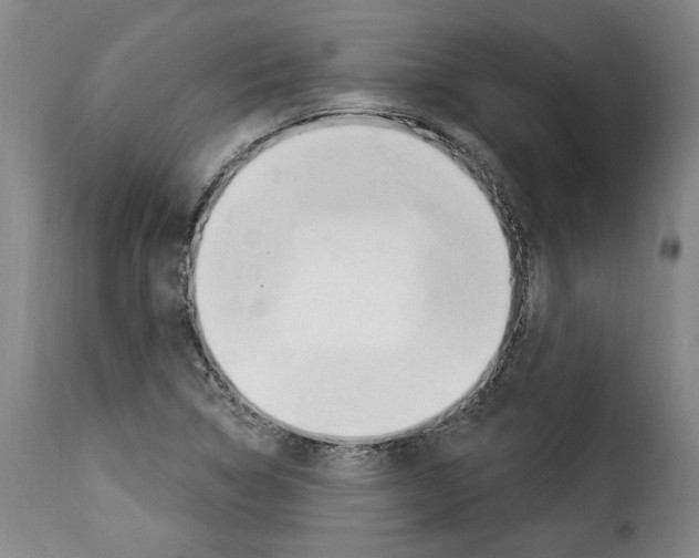 X0000114241314200911201124