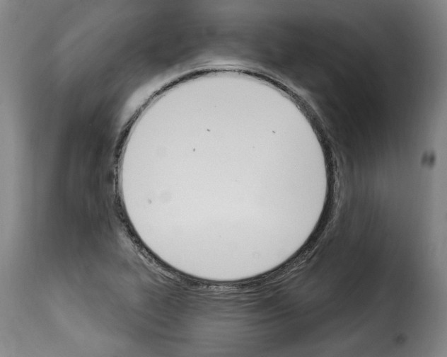 X0000114241319200911201124