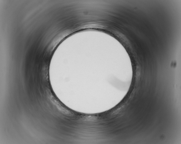 X0000114241321200911201124