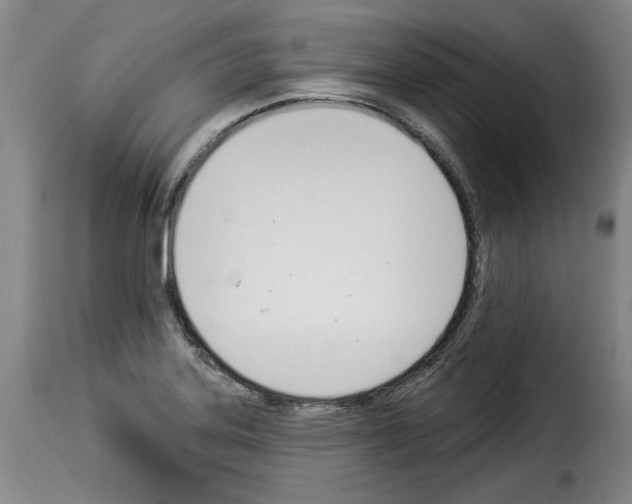 X0000114241323200911201124