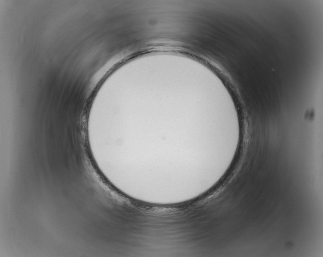 X0000114241325200911201124