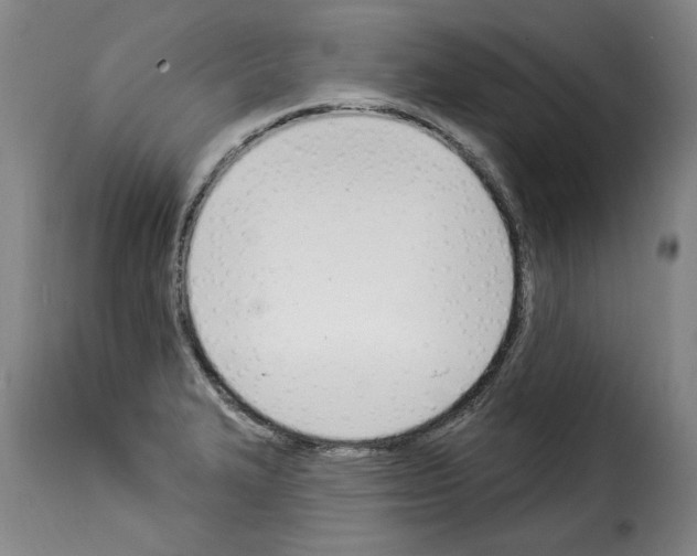 X0000114241327200911201124