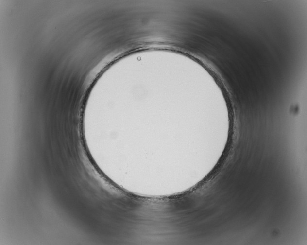 X0000114241333200911201124