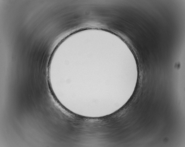 X0000114241335200911201124