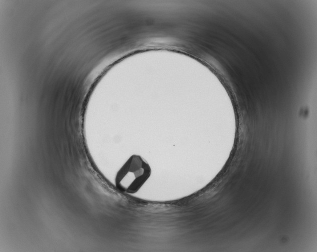 X0000114241336200911201124